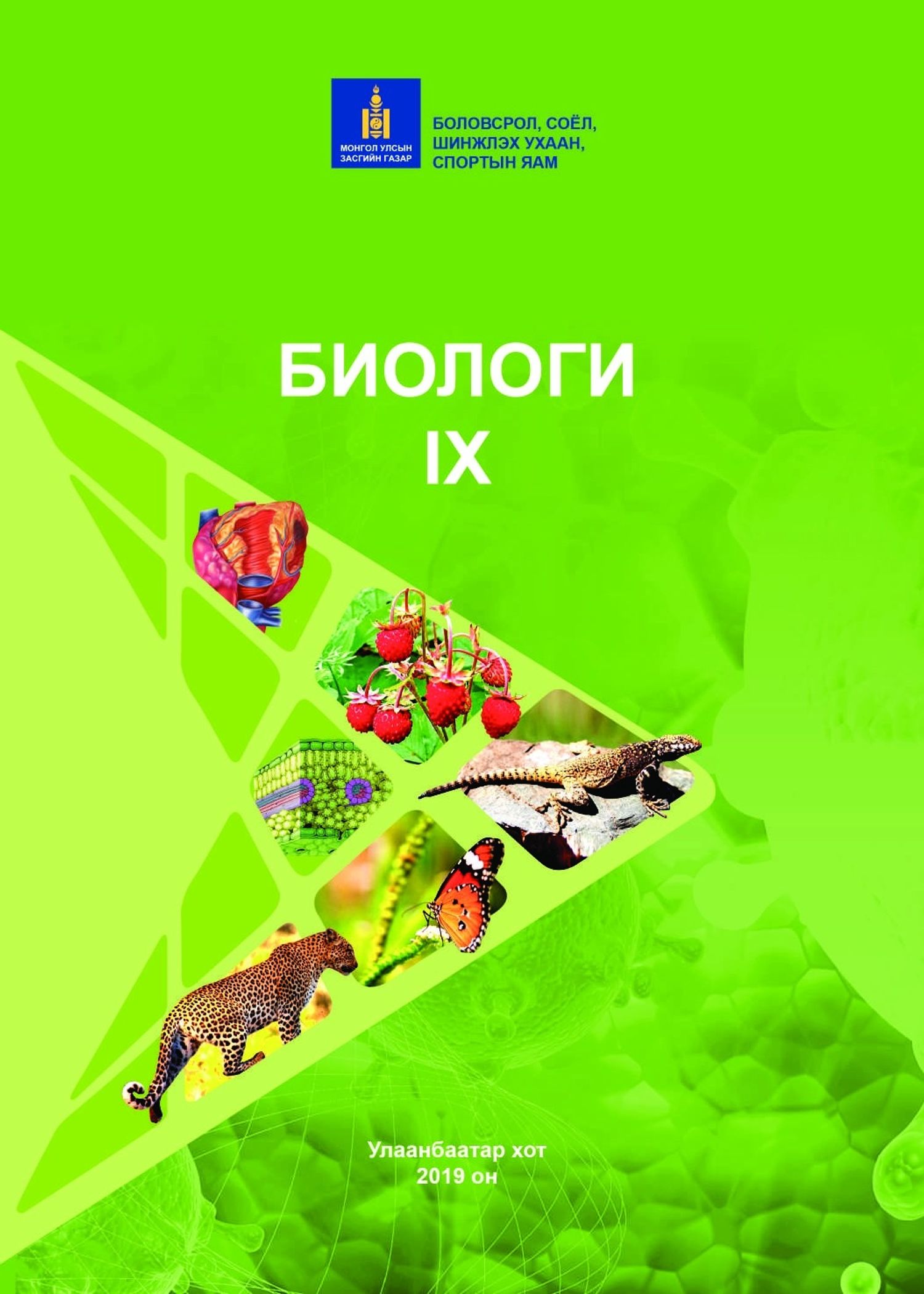 https://cdn.zochil.shop/a5f24e54-488d-4ad3-840b-5938d8196925_t1500.jpg