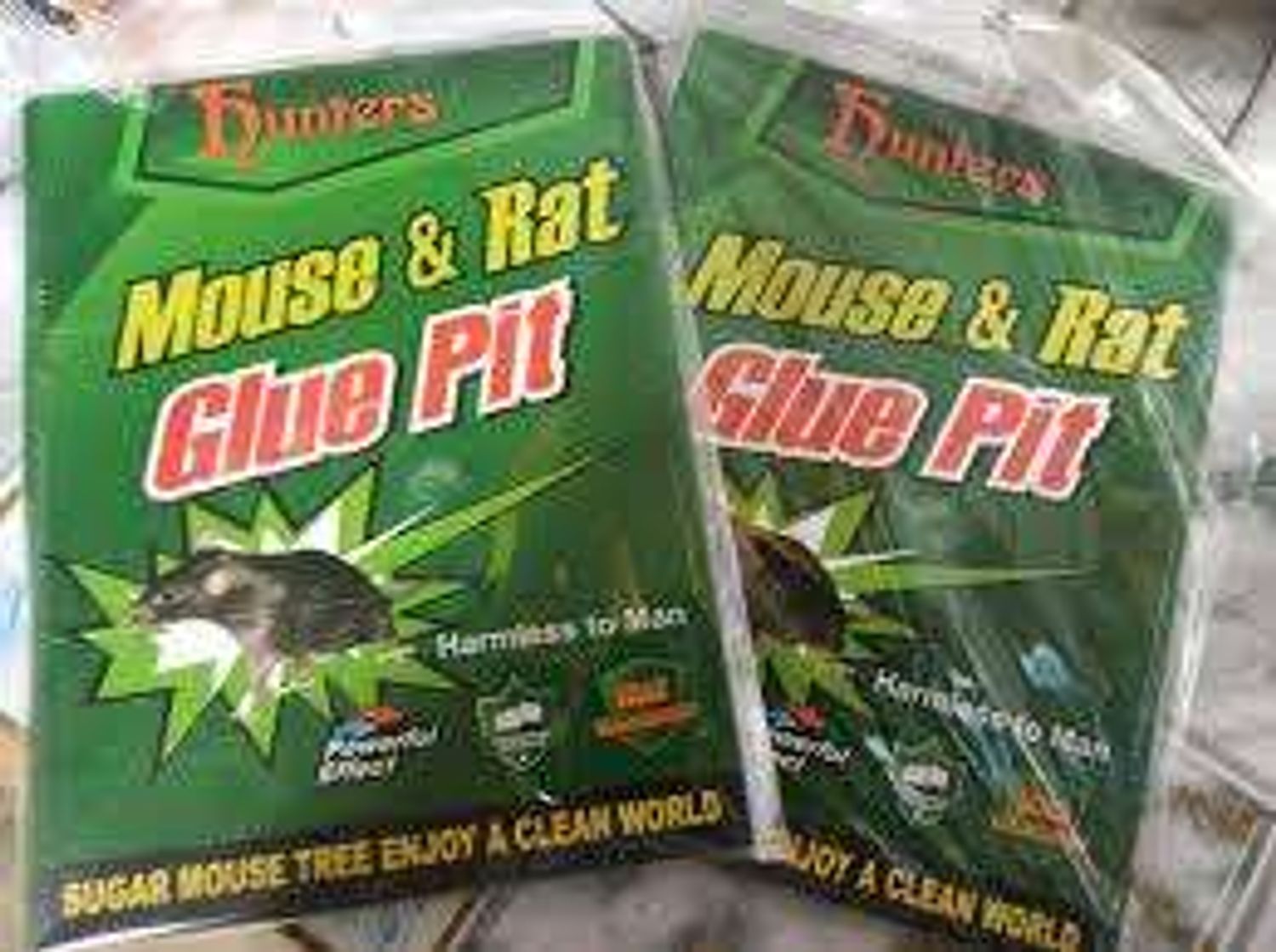 Хулганы наадаг хор 