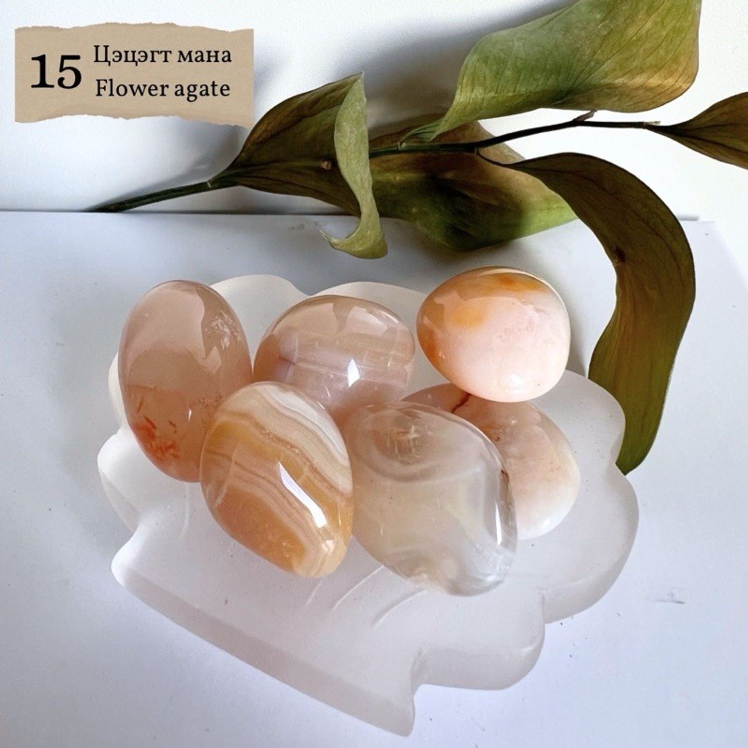 "Цэцэгт мана" өнгөлсөн чулуу