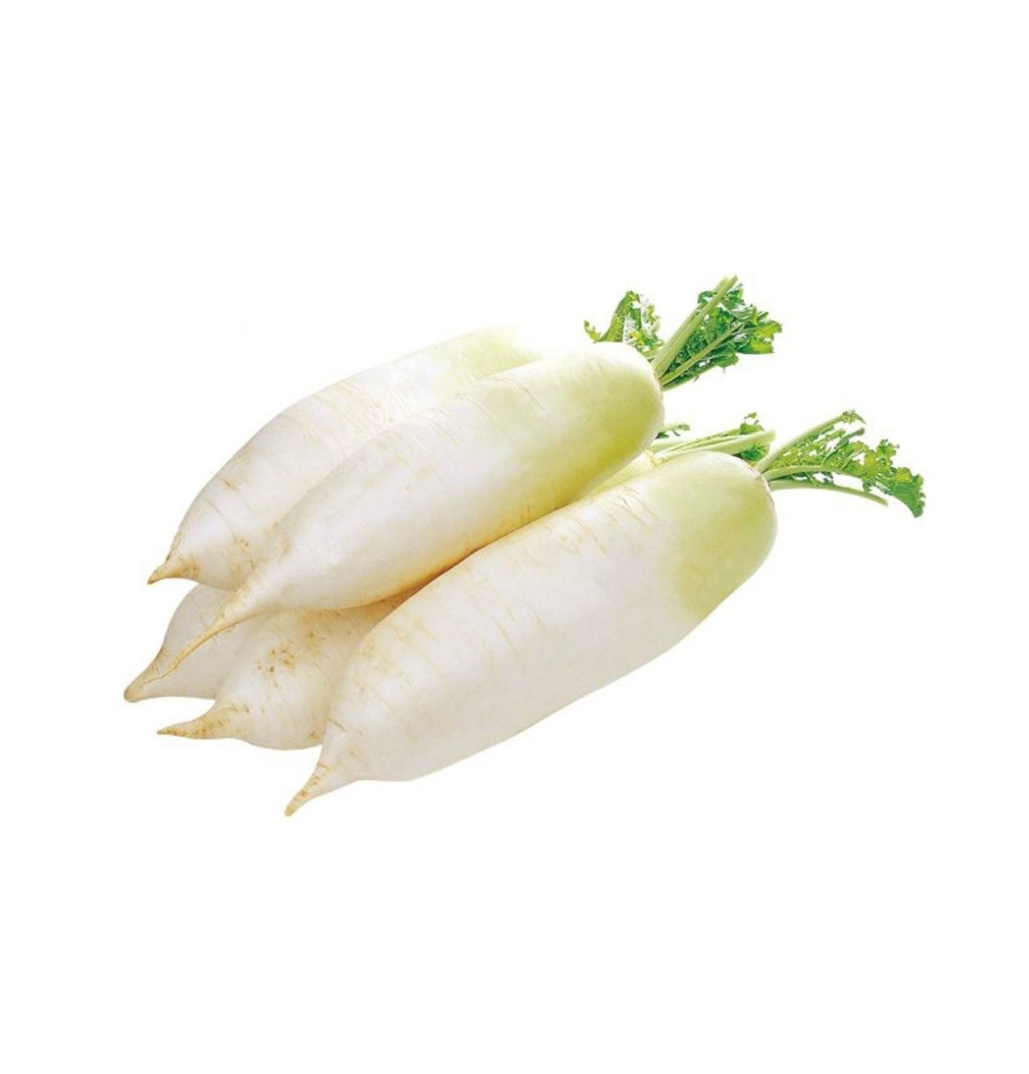 Нарийн ногоо