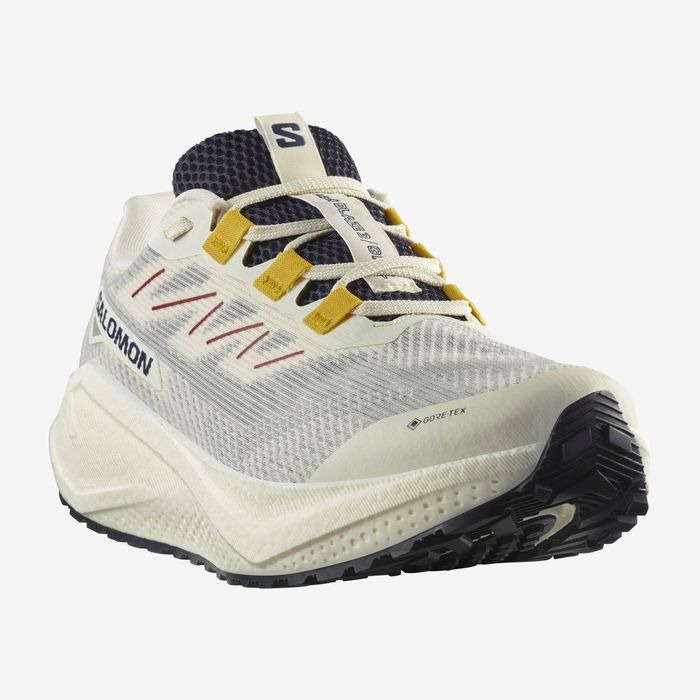 Salomon | AERO BLAZE 3 GRVL GTX 