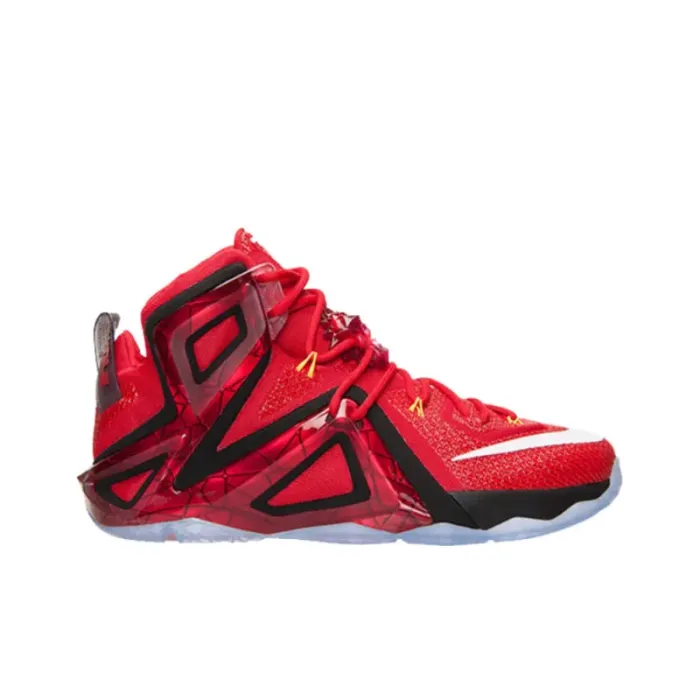 Nike LeBron 12 Elite Team