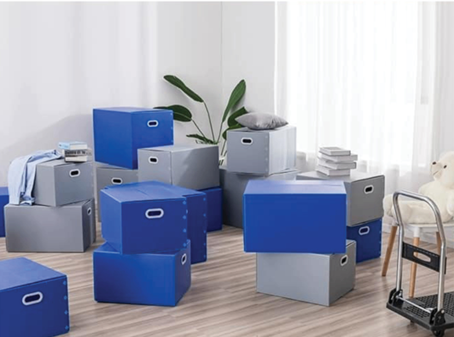 https://cdn.zochil.shop/a86a5079-4f38-4ec1-bb07-150f9b32d46e_t1500.png