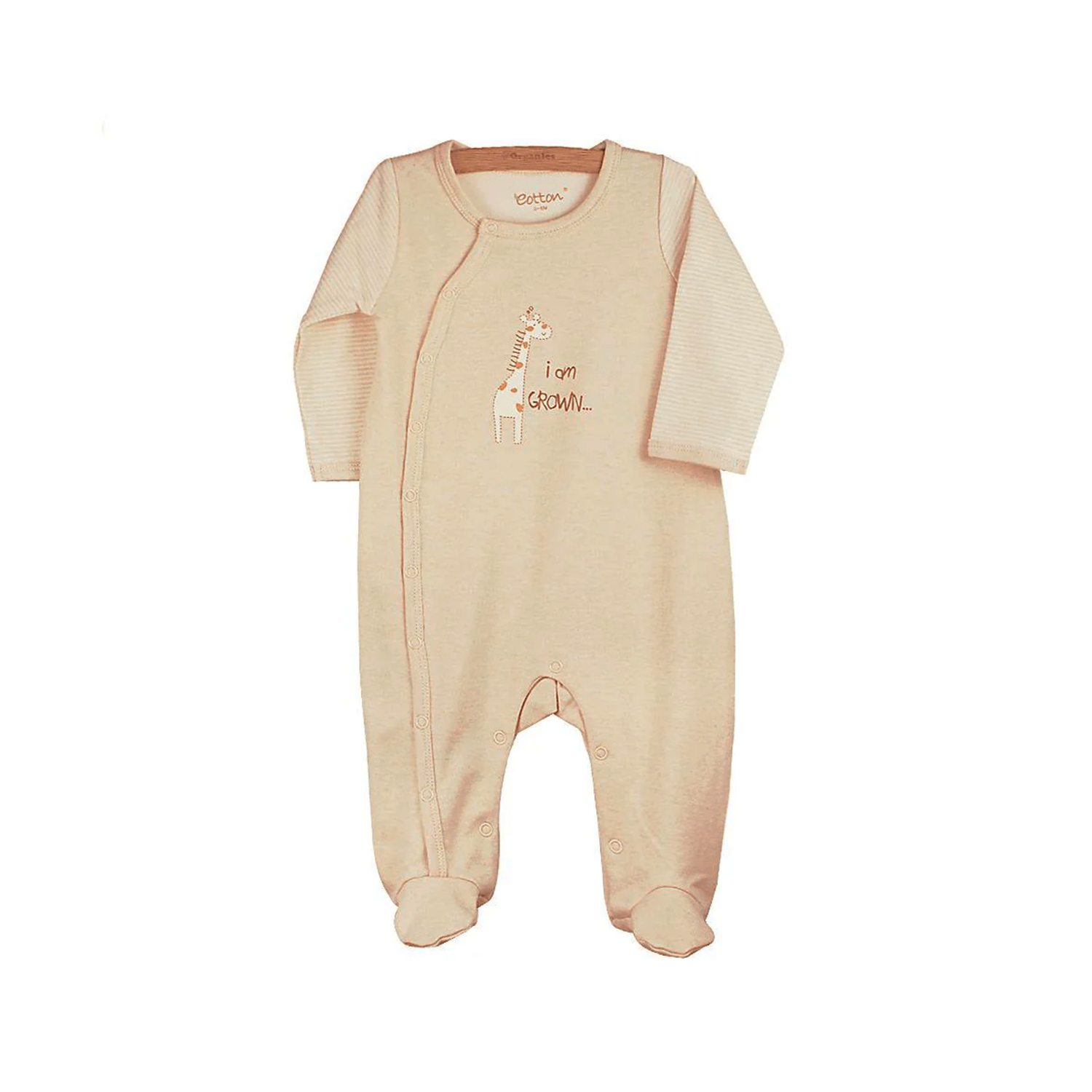 Бүтэн боди - Анааш