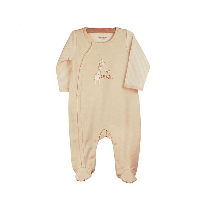 Бүтэн боди - Анааш