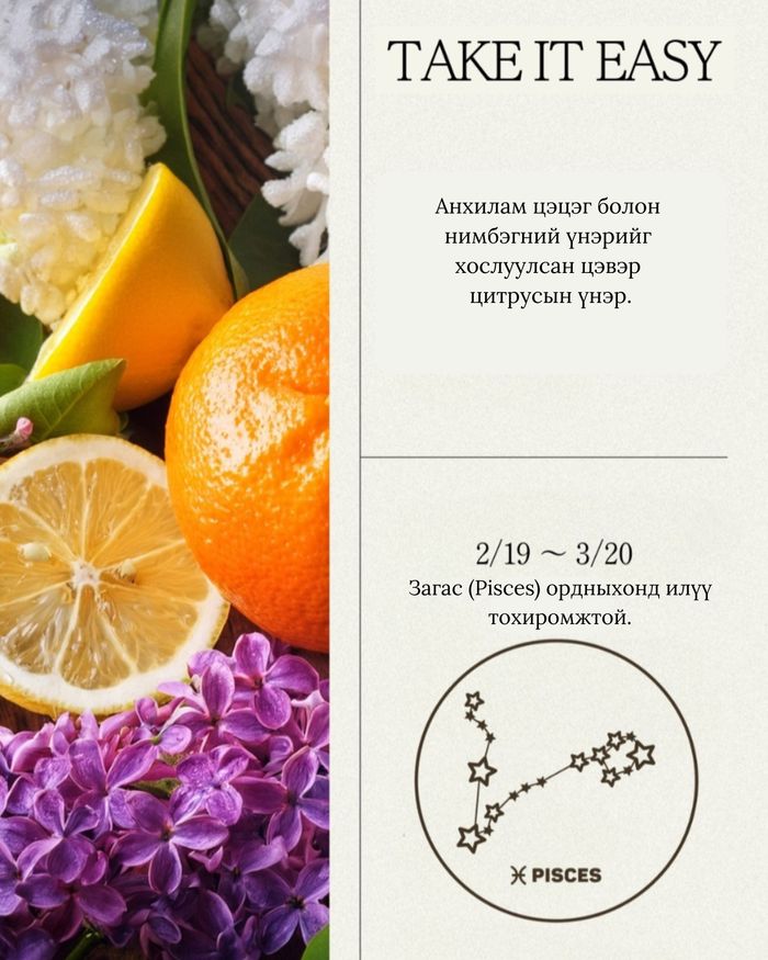 Perfume Hand Cream 50ml Take It Easy