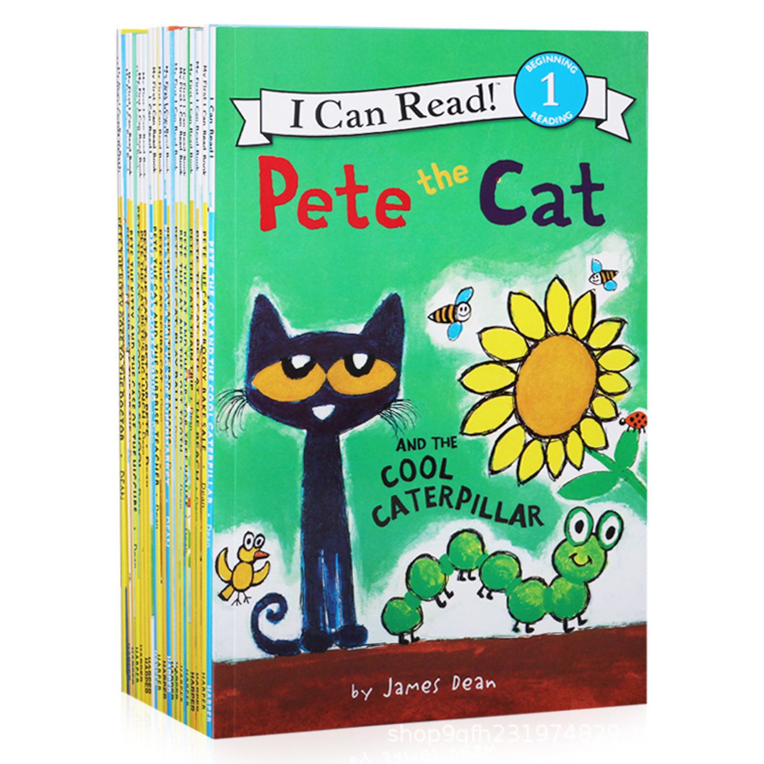 “I can read” PETE the CAT