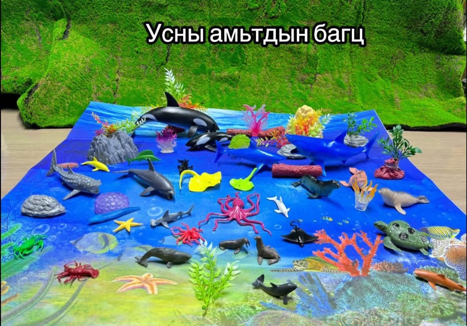 Усны амьтад багц 