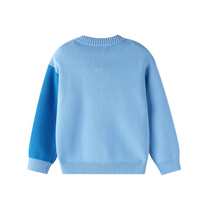 Цэнхэр цамц