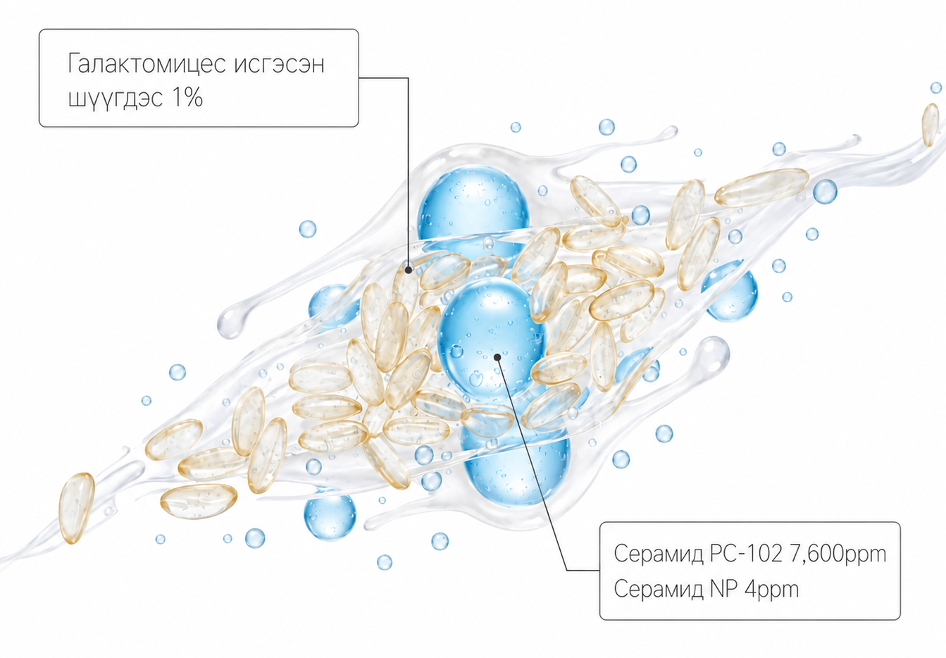 Галактомицес гэж юу вэ?