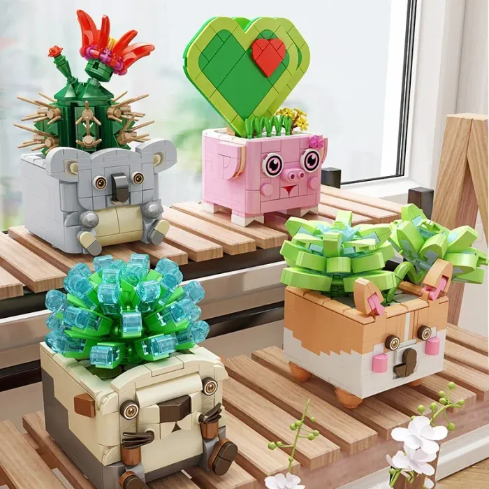 Succulent pets 