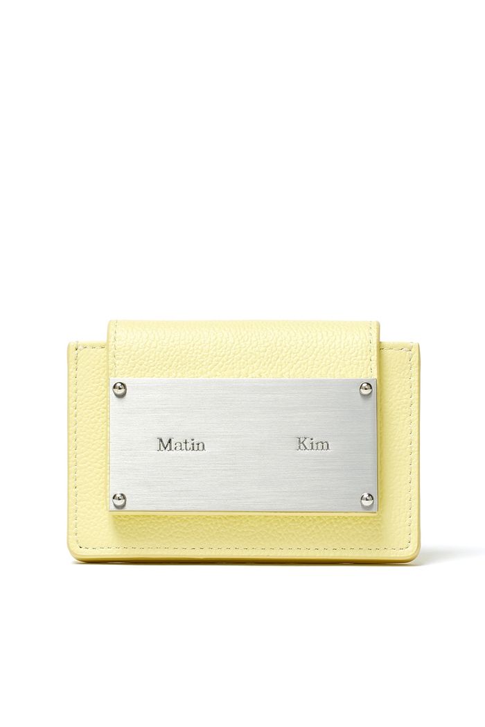 ACCORDION WALLET IN LIME