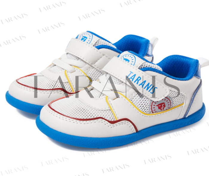 Сеткэн пүүз