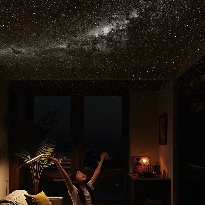 Ухаалаг шөнийн гэрэл