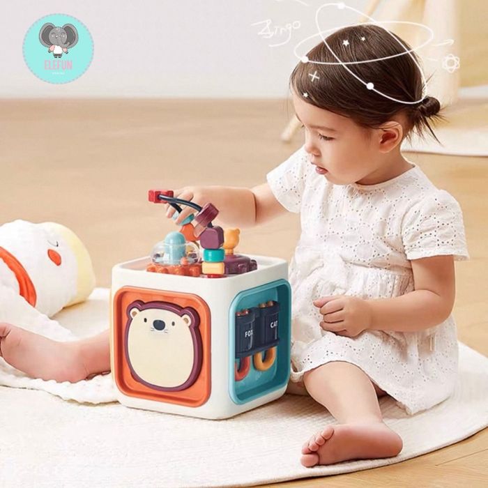 Олон талт куб