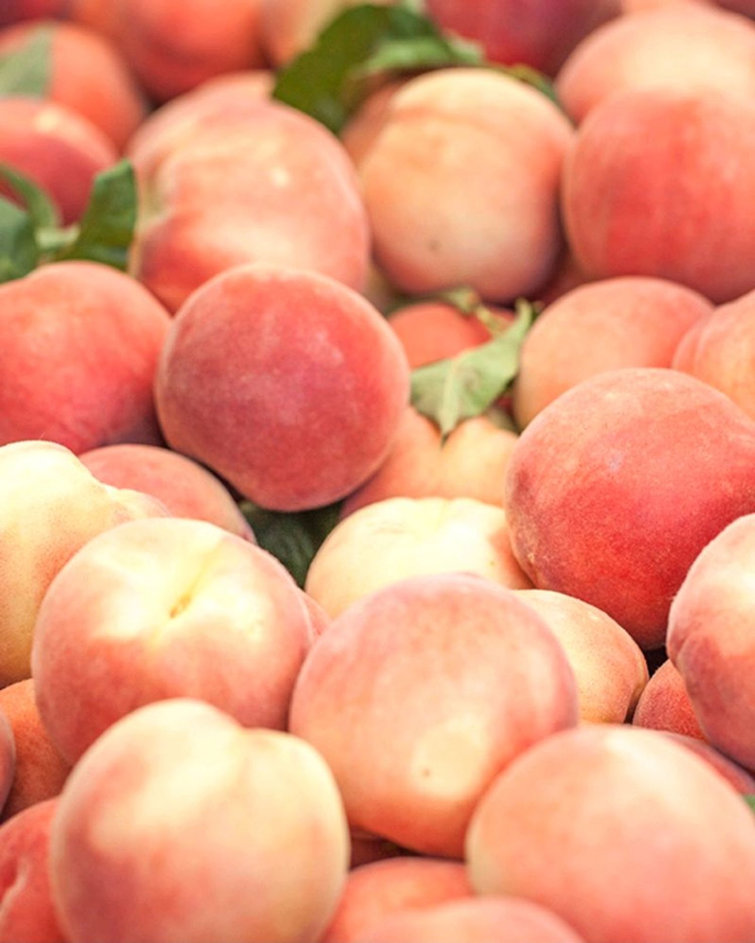 Peach fragrance oil 100мл