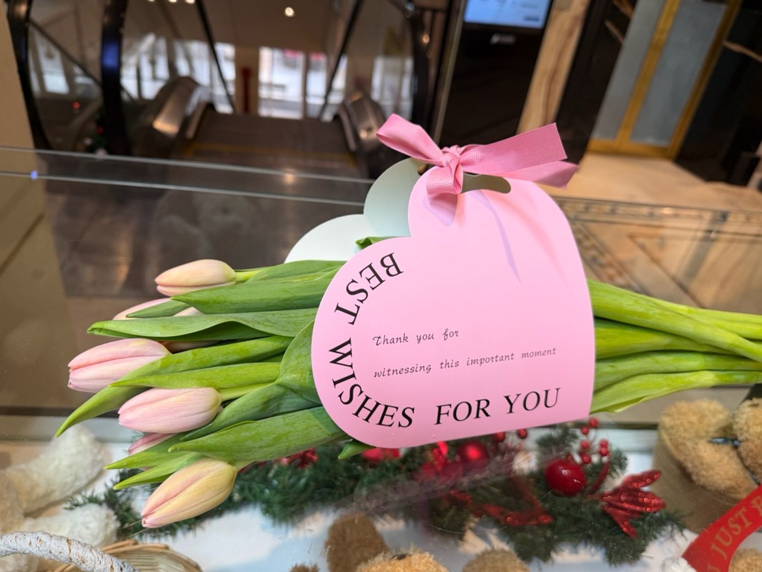 Голланд алтанзул ягаан 