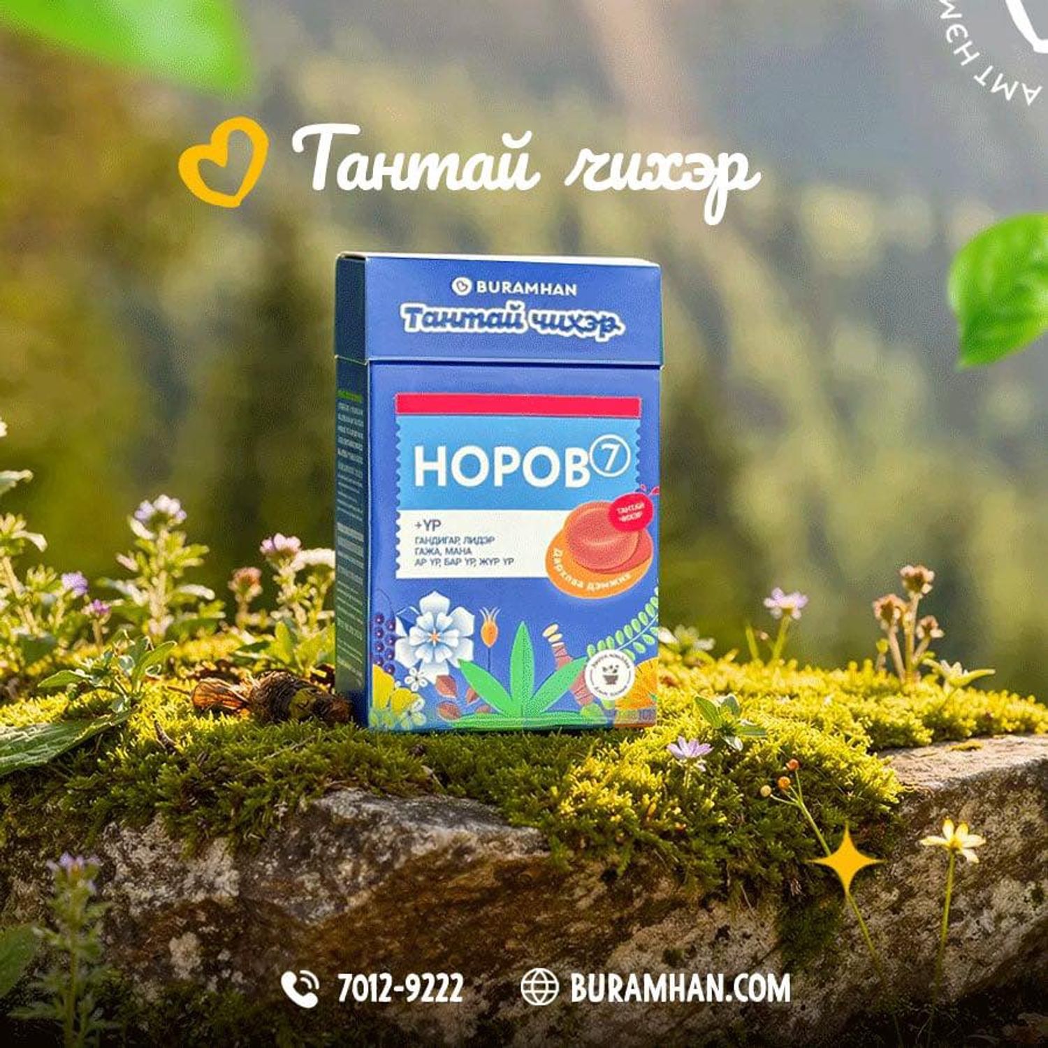 Тантай чихэр Норов-7 