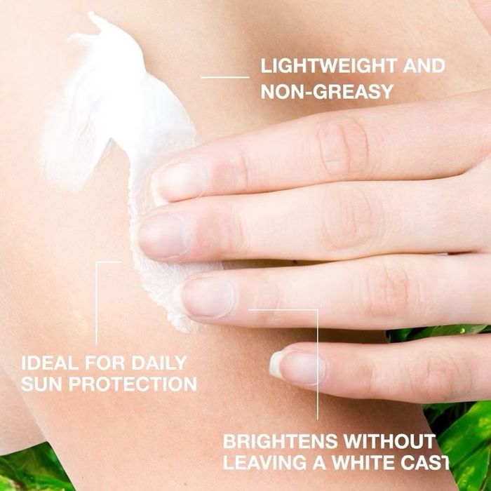Sunscreen Lotion SPF 30 PA+++