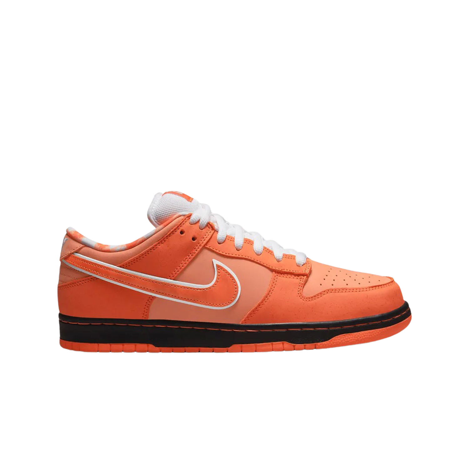 Nike x Concepts SB Dunk Low Orange Lobster (Regular Box)