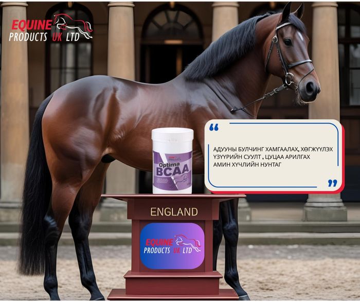 Адууны үзүүрийн суулт, цуцаа арилгах бэлдмэл 