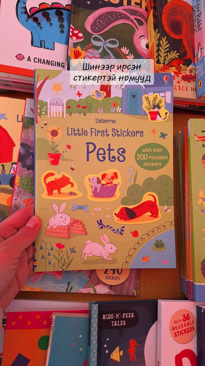 Little First Stickers Pets 