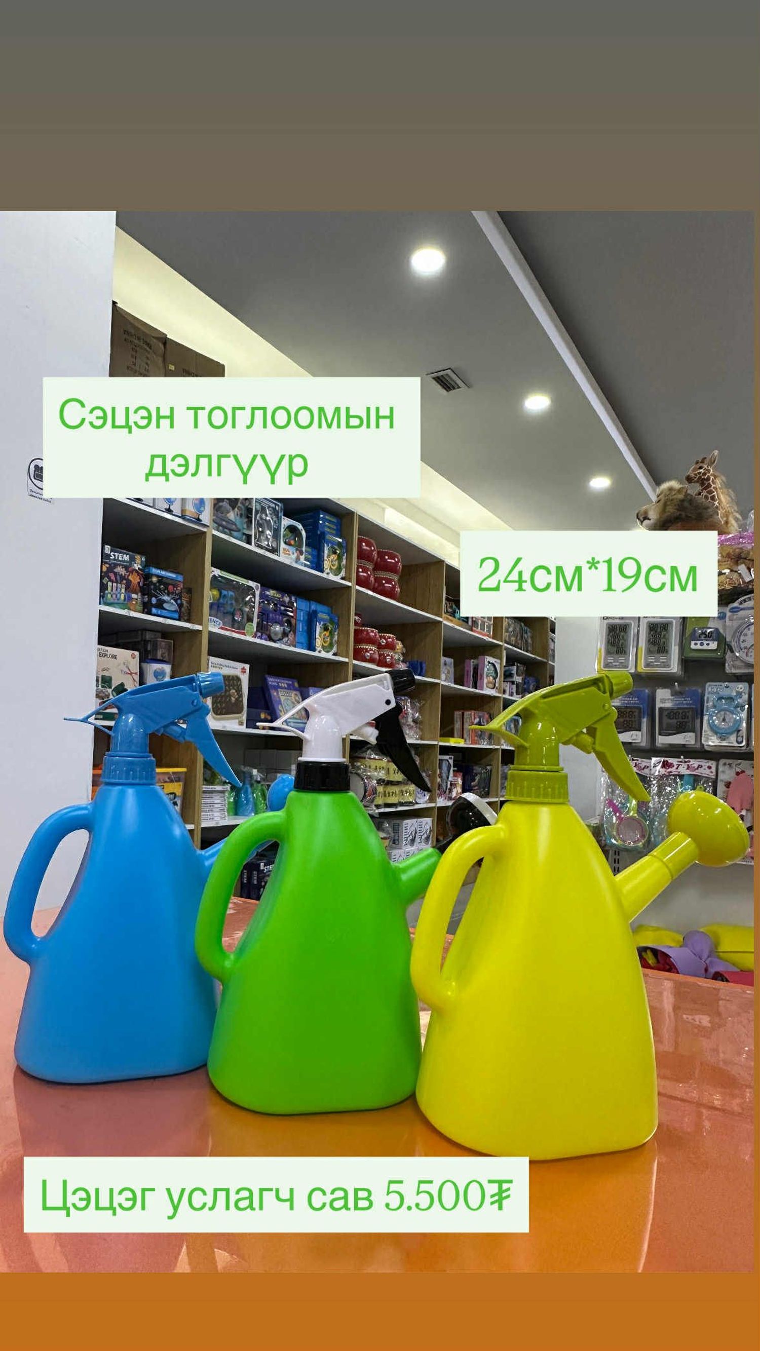 цэцэг услагч сав 