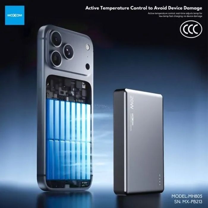 Moxom PB213 Power Bank (10000 mAh)