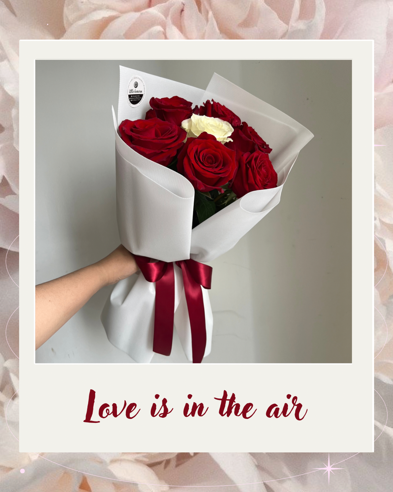 https://cdn.zochil.shop/b07699b0-2f7e-414f-bff5-5c04ed1ac42e_t1500.png
