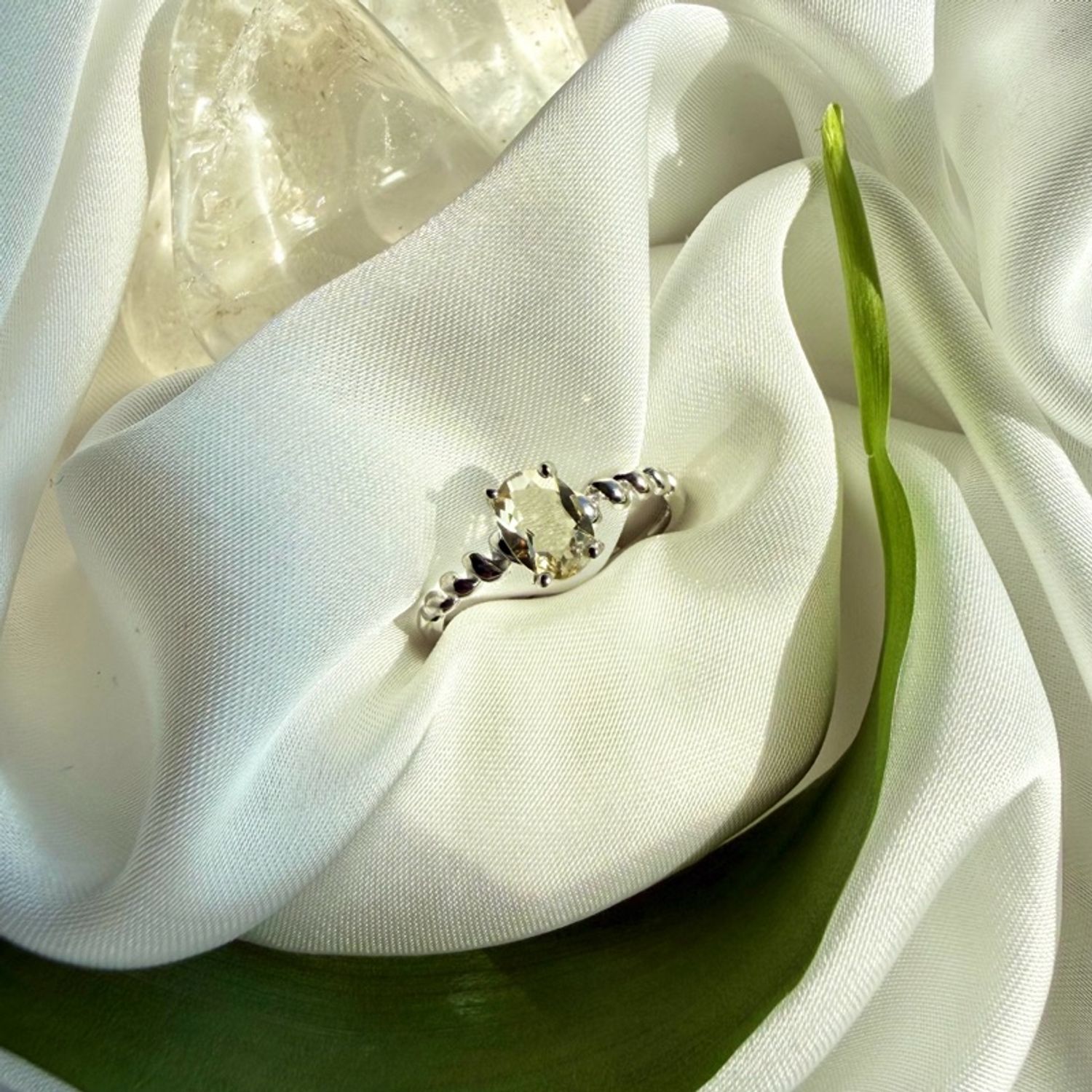 https://cdn.zochil.shop/b0b36b18-4ced-40c5-ab9c-fc1c82605704_t1500.jpg