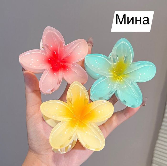 ҮСНИЙ ХАВЧААР