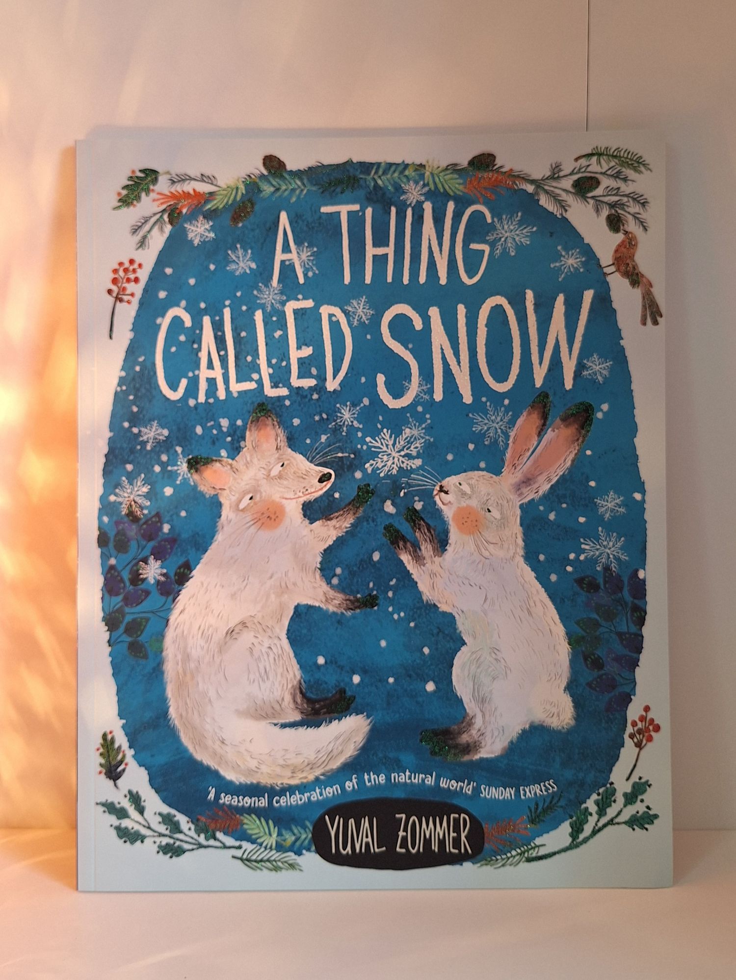 A Thing Called Snow