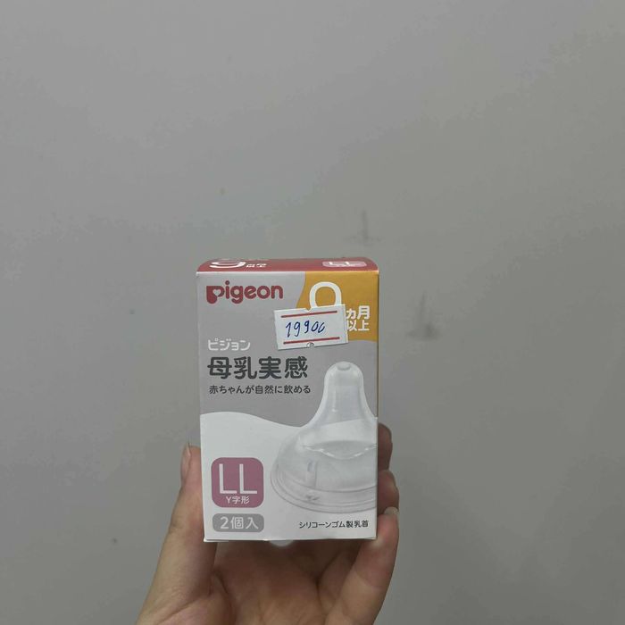 Pigeon Угжны хөхлүүр LL