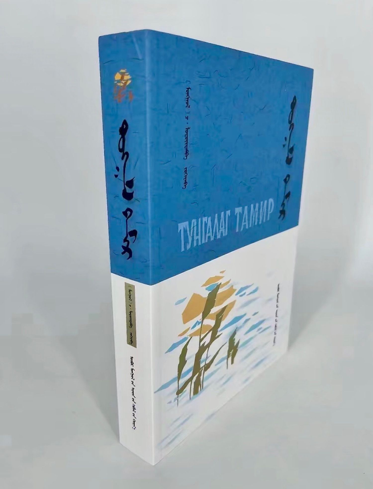 ТУНГАЛАГ ТАМИР, Ч.Лодойдамба