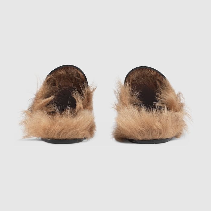 GG үслэг шаахай