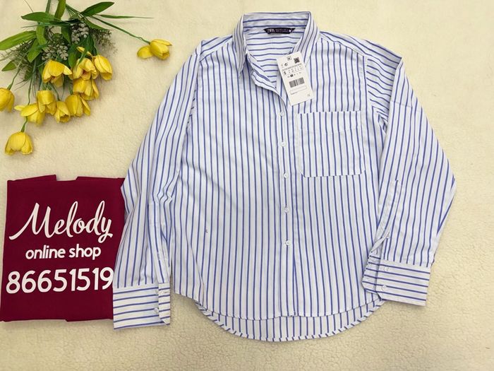 zara tsagaan sudaltai sorochik