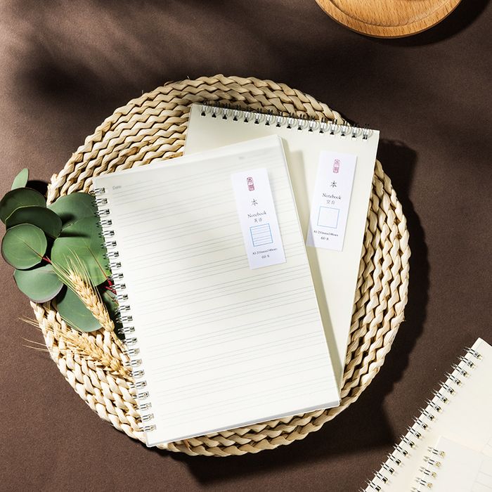 Дэвтэр тэмдэглэлийн А5 DL LPA560