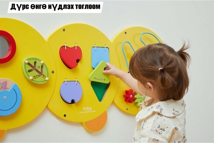 Ханын өт шар