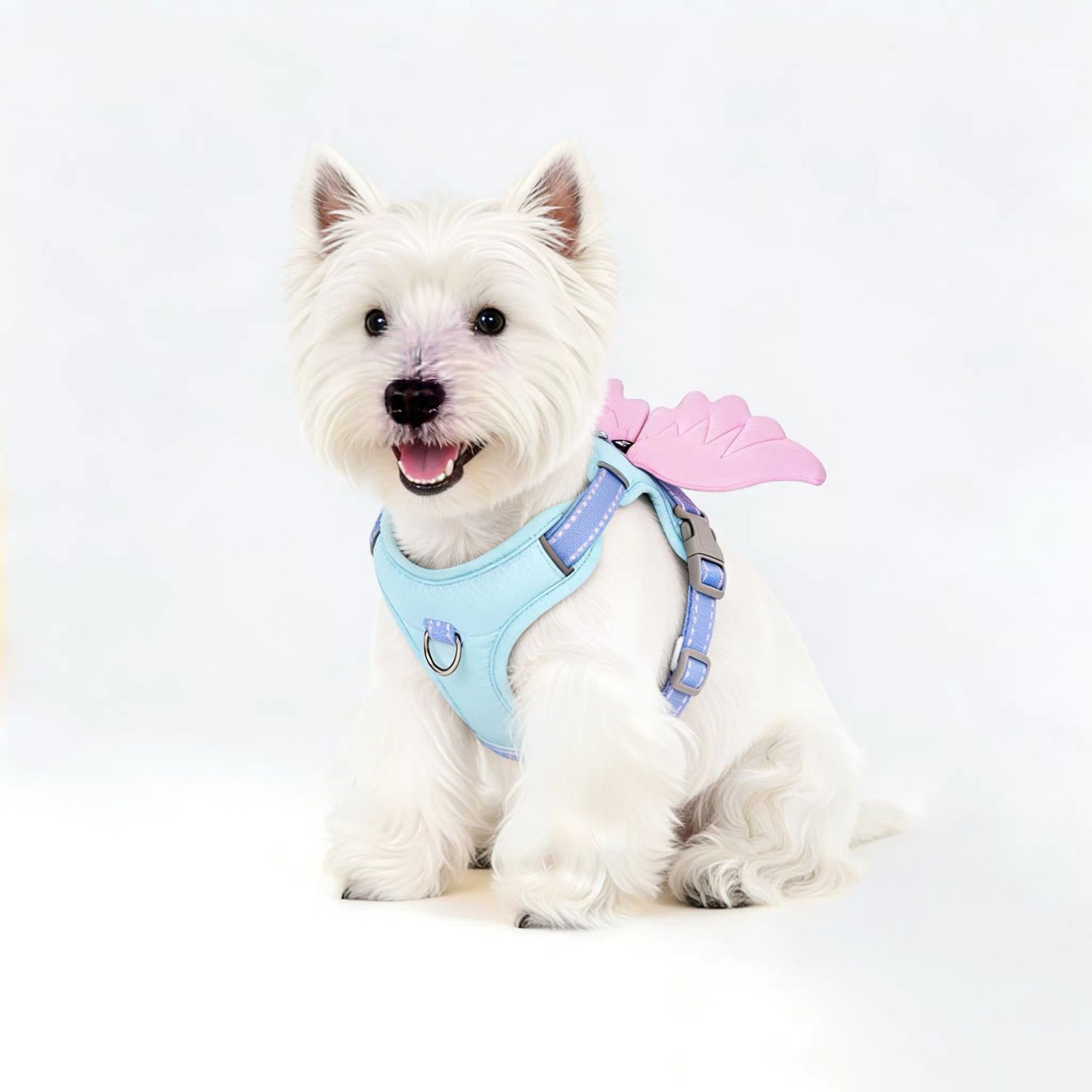 Wings Harness Цээживч