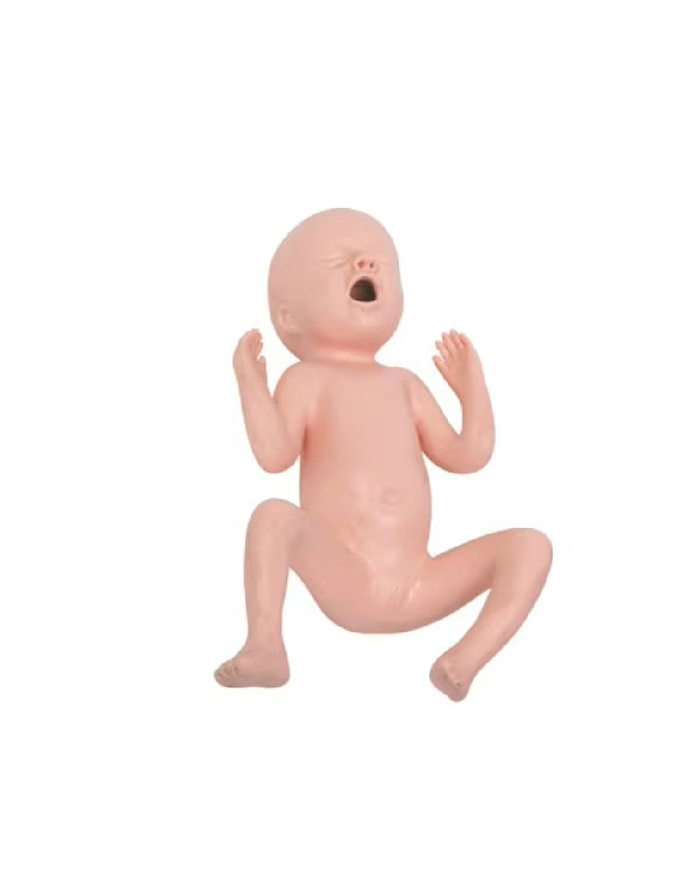 Нярайн интубацийн сургалтын манекен