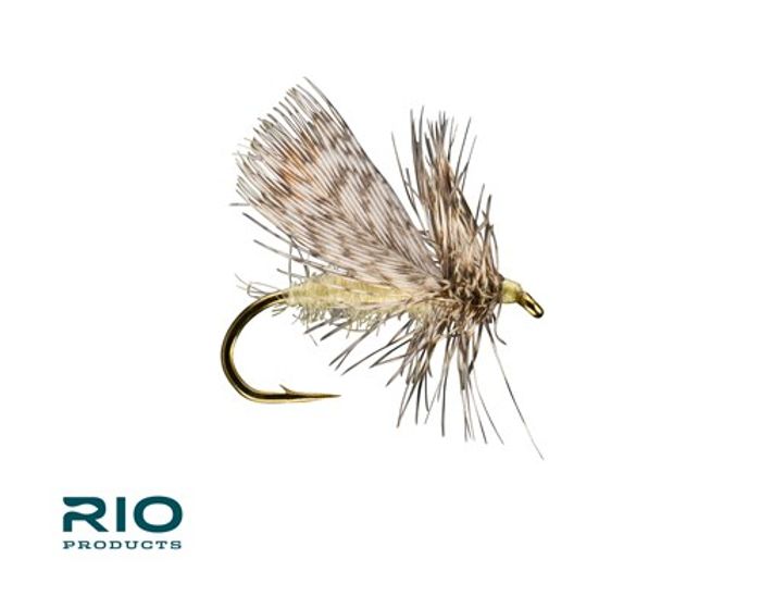 Spent Partridge Spruce Moth Cream 14