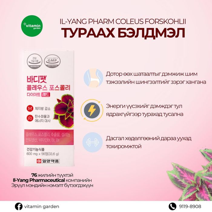Солонгосын IL-Yang Pharm Coleus Forskohlii тураах бэлдмэл