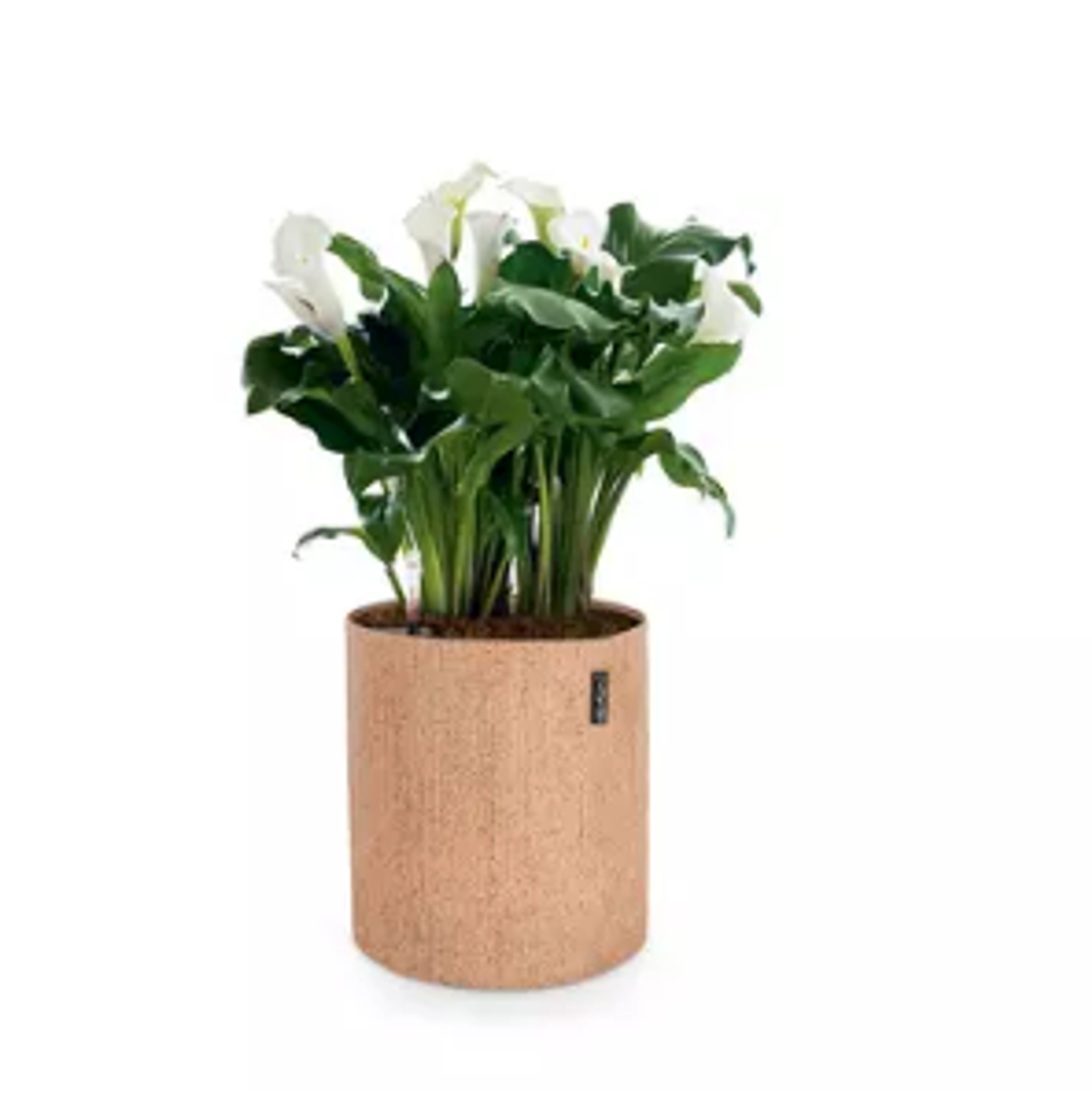 TRENDCOVER Cork