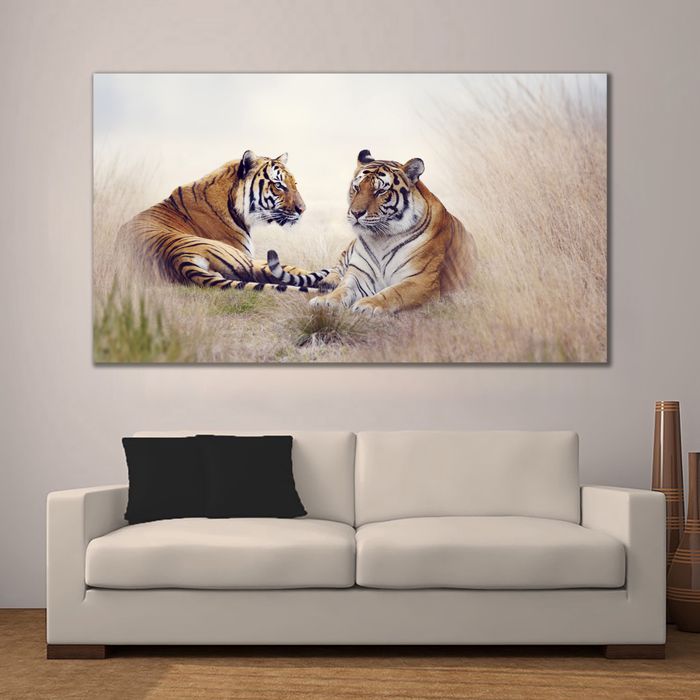 Бар /хосууд/