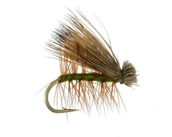 Elk Hair Caddis Olive 12