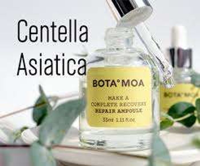 BOTA·MOA CentellaRecovery Repair Ampoule