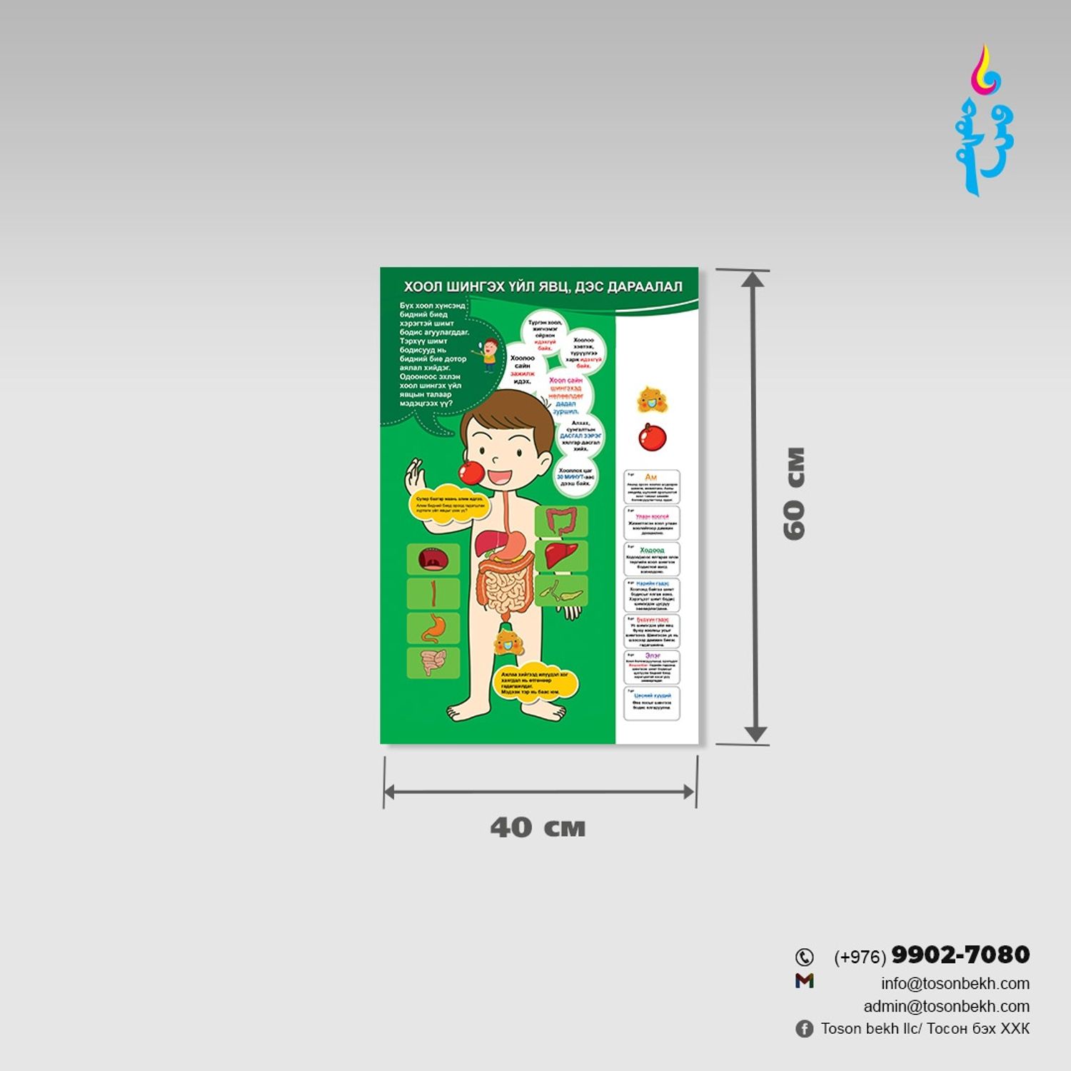 Хоол шингээх үйл явц, дэс дараалал