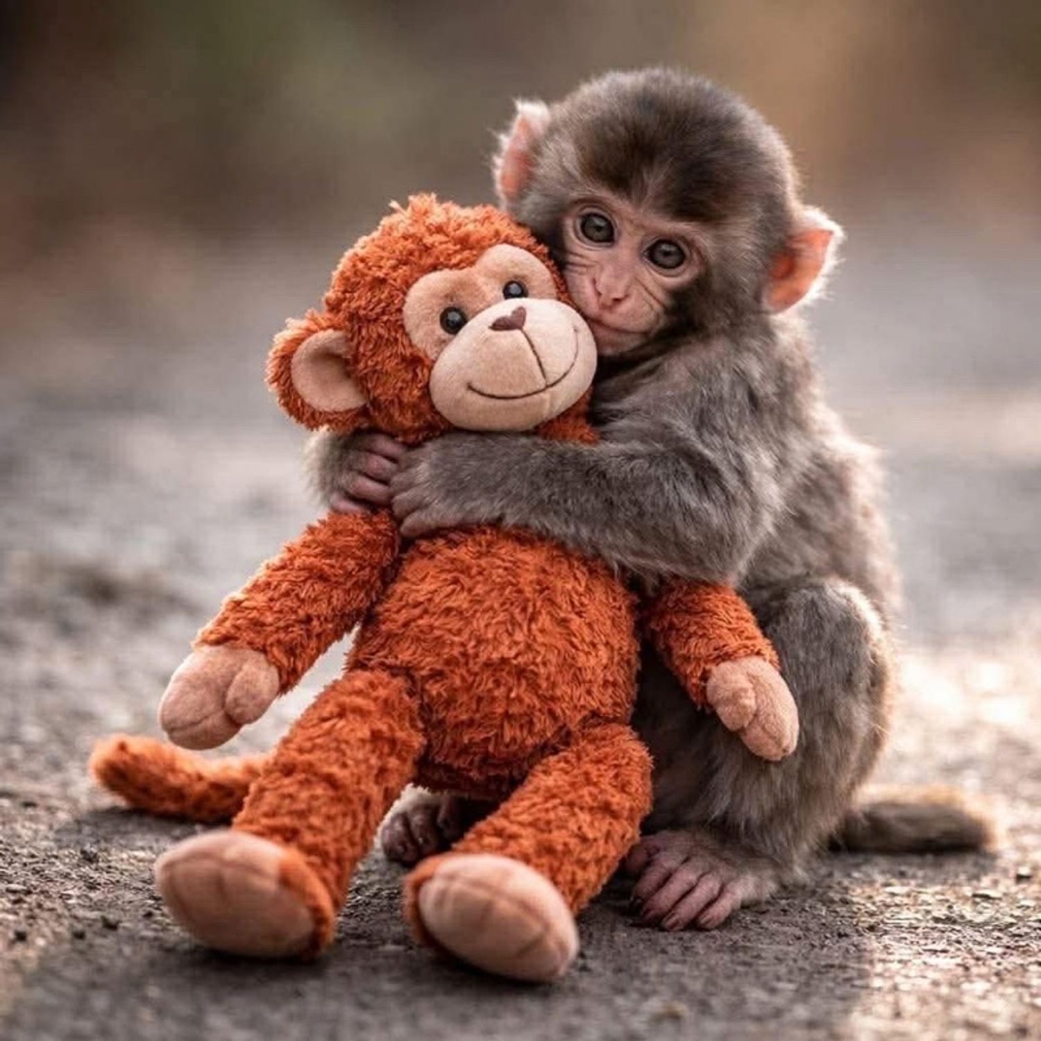 Чихмэл тоглоом 