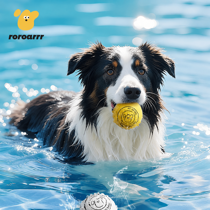 Bounce Fetch Ball - Бөмбөг
