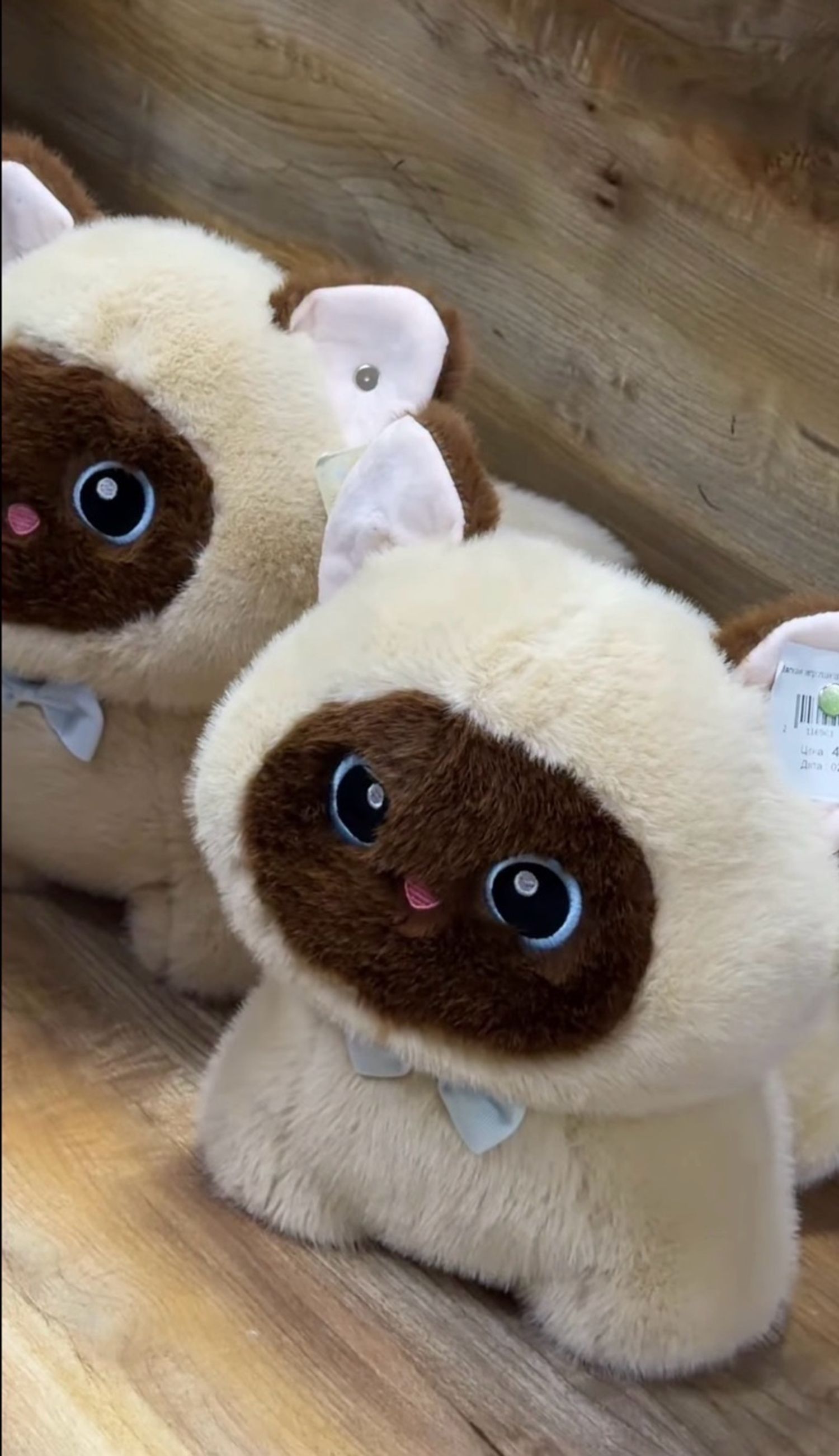 Чихмэл тоглоом